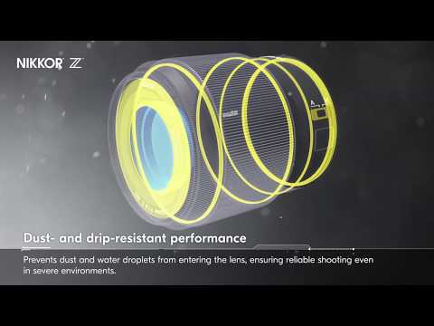 Nikon NIKKOR Z 50 mm f/1.8 S - Image 6