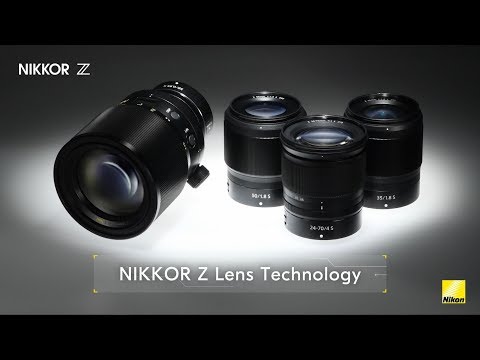 Nikon NIKKOR Z 24-120 mm f/4 S - Image 3